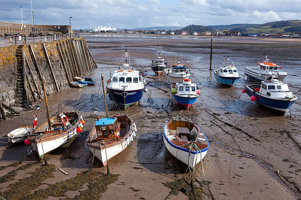 istock Fishing boats at Low Tide 105627862