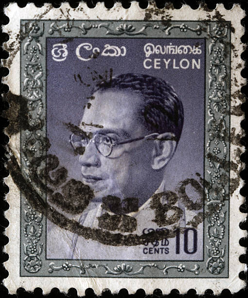 istock Dudley Shelton Senanayake 105627888