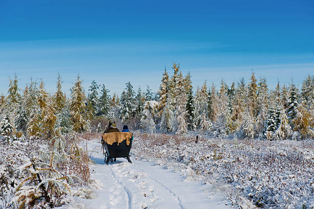 istock horse ride on snow 105628023