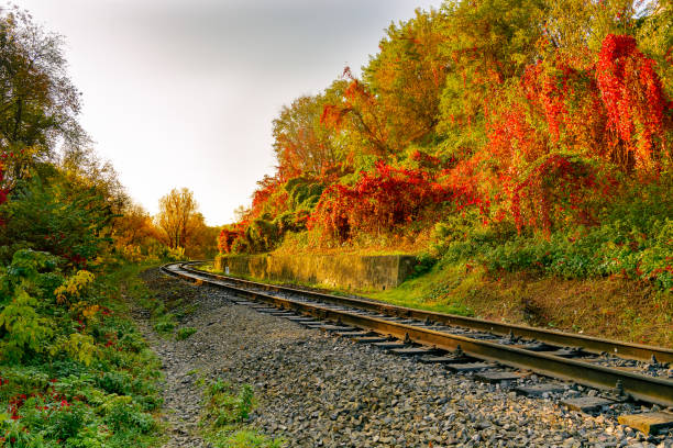 Railway or tramway track in a beautiful autumn park fog, bright warm autumn colors