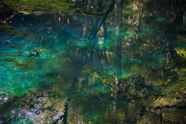 istock Beautiful lake in Japan 1056281124