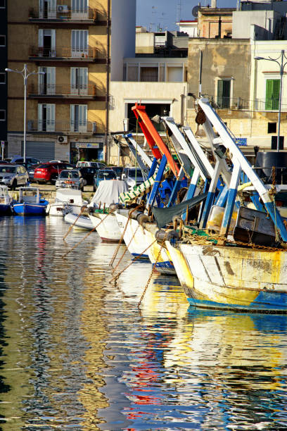 포르토에서 pescherecci ancorati - pollock trawler 뉴스 사진 이미지