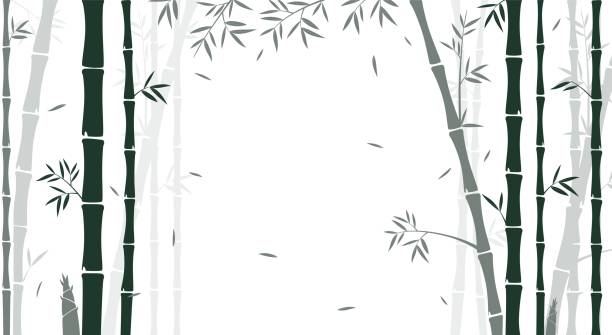 Bamboo forest background Vector Illustration of Bamboo forest background for wallpaper sticker

eps10 bamboo background stock illustrations