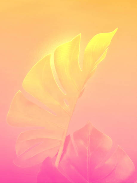 istock Tropical palm leaves background 1056285256