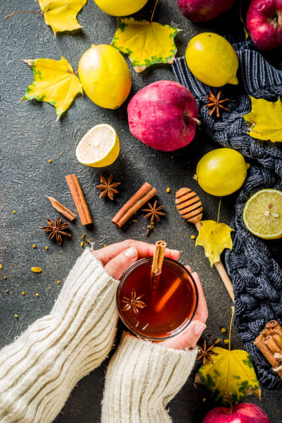 istock Autumn winter hot spicy tea 1056289082