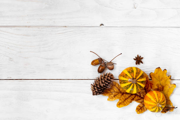 istock Autumn oak leaf with decorative pumpkins composition on old white vintage wooden texture floor. Fall, halloween concept. Flat lay, top view 1056291718
