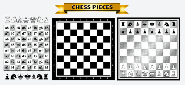 체스 조각 요소, 승자와 패자의 개념, 공정한 게임에서의 설정 - looser stock illustrations