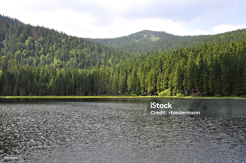 Lake Arber in Bavaria (Grosser Arbersee) Awe Stock Photo