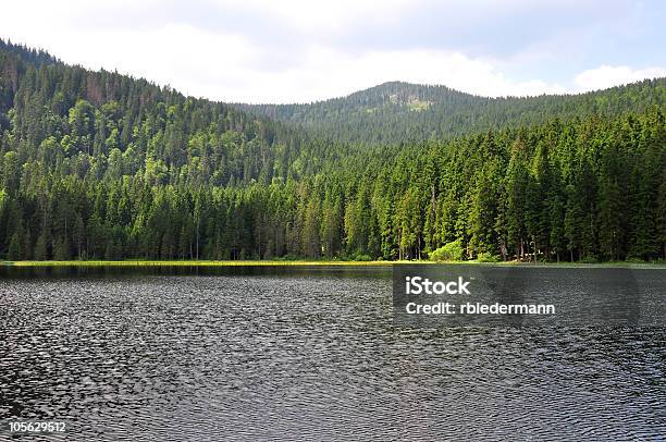 Lake Arber In Bavaria Stock Photo - Download Image Now - Awe, Bavaria, Color Image