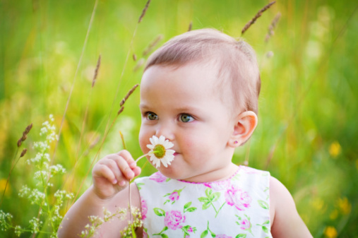 Little girl is smelling the daisy flower outdoors