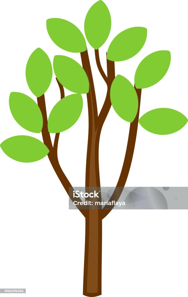 Ilustración de De Dibujos Animados Joven Árbol De Hoja Caduca Con Corona De Ramas Y Hojas Verdes En Las Ramas Aisladas Sobre Fondo Blanco y más Vectores Libres de Derechos de Blanco - Ilustración de De Dibujos Animados Joven Árbol De Hoja Caduca Con Corona De Ramas Y Hojas Verdes En Las Ramas Aisladas Sobre Fondo Blanco y más Vectores Libres de Derechos de Blanco -