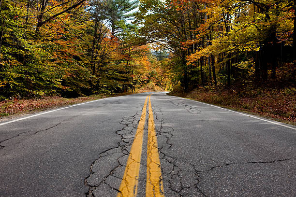 istock Low-level view of road in fall foliage forest 105629870