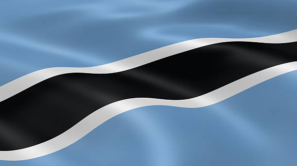 istock Batwsana flag in the wind 105630026