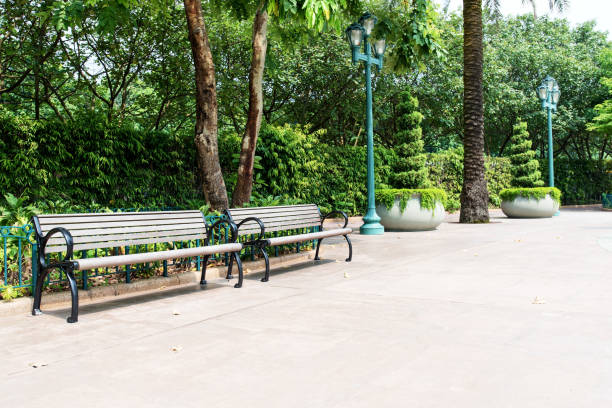 열 대 공공 공원 벤치 - formal garden garden path bench flower 뉴스 사진 이미지