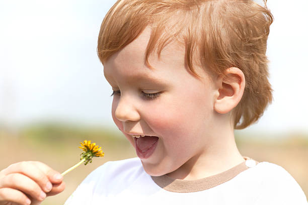istock Happy boy enjoy with yellow dandelion 105630317