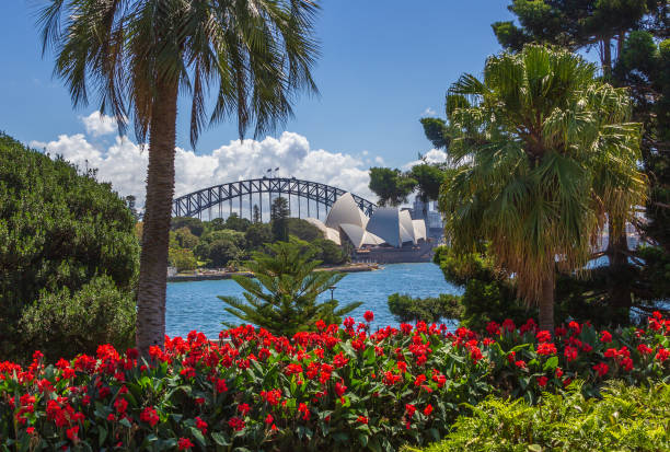 シドニー オペラハウスとシドニー ハーバー ブリッジへのシドニーの植物園からの眺め - opera house australia sydney australia architecture ストックフォトと画像