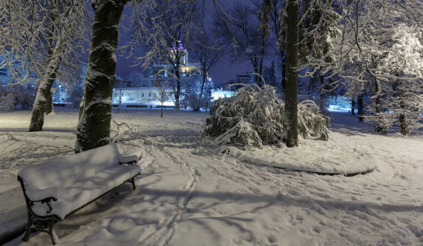 istock Night winter park in Lviv, Ukraine 1056306182