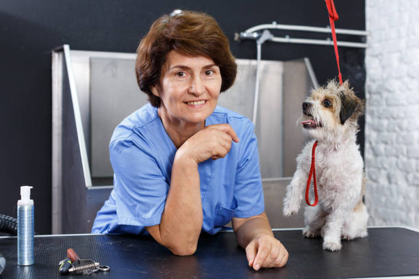 istock Woman groomer with cute dog 1056313570