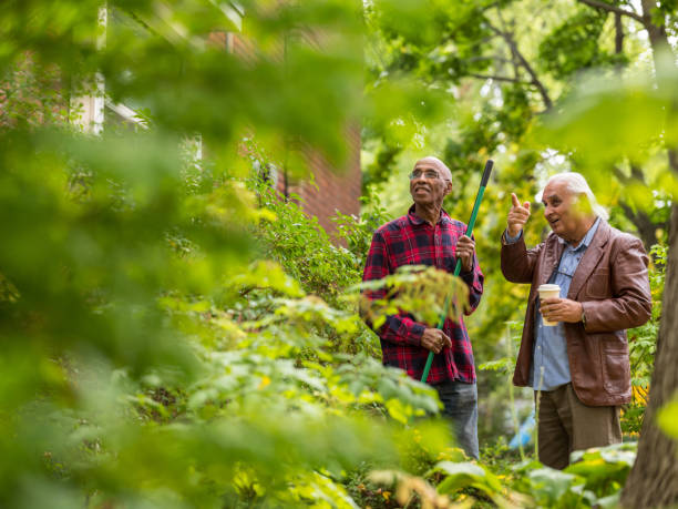 istock Senior neighbors friendly talk 1056316208