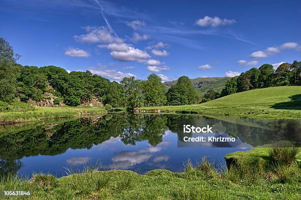 Malerische Reflektionen In Fluss Stockfoto und mehr Bilder von Baum - Baum, Berg, Elterwater