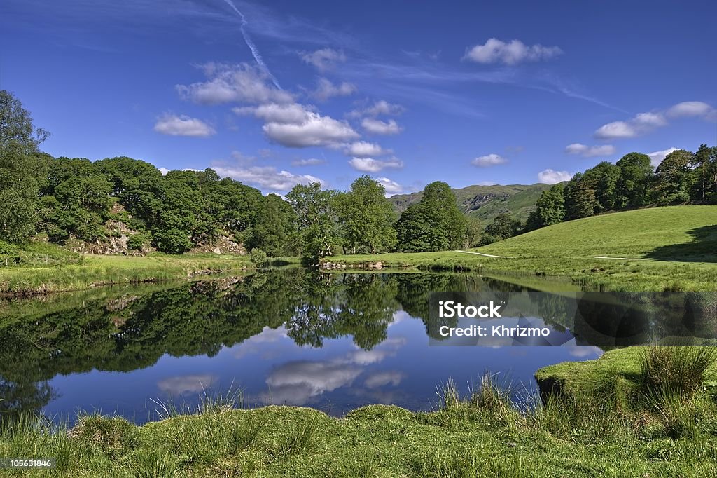 Reflejos en panorámica al río - Foto de stock de Agua libre de derechos