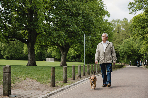 Senior Man Walking Dog in Park