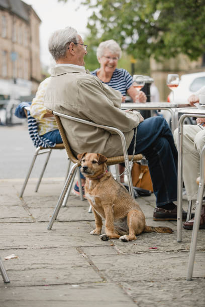 istock Dog at a Cafe 1056327004