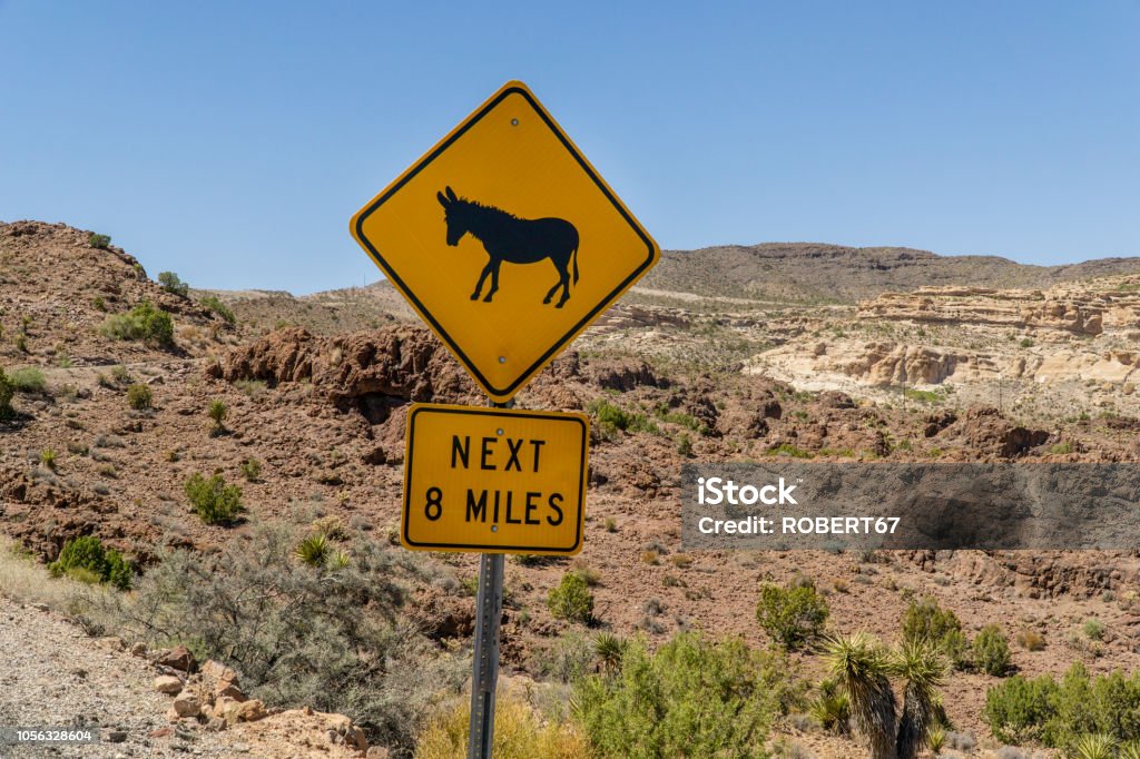 The village of Oatman Oatman - Arizona Stock Photo