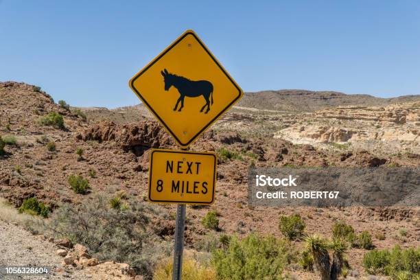 The Village Of Oatman Stock Photo - Download Image Now - Oatman - Arizona, Donkey, Journey