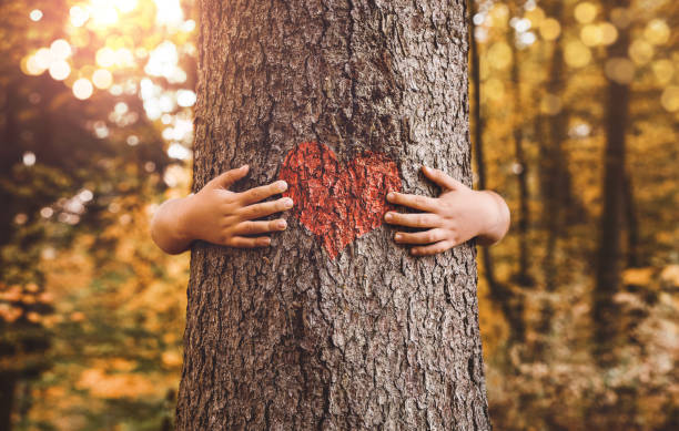 einen baum umarmen - heart shape child human hand childhood stock-fotos und bilder