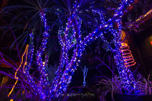 istock Decorative outdoor string lights hanging on tree in the garden 1056339968
