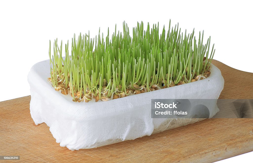 Trigo Sprouts con trazado de recorte - Foto de stock de Alimento libre de derechos
