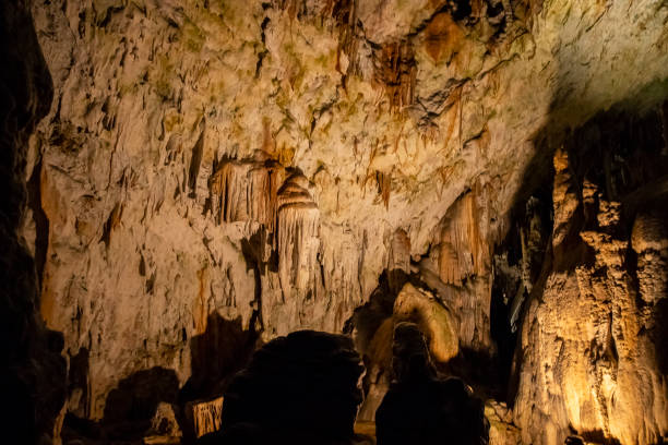 istock Postojna Cave, Croatia 1056345916