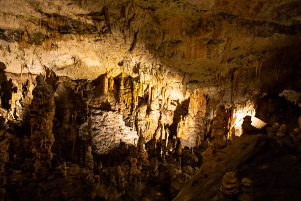 istock Postojna Cave, Croatia 1056346370