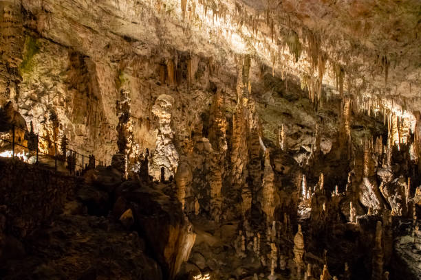 istock Postojna Cave, Croatia 1056347602