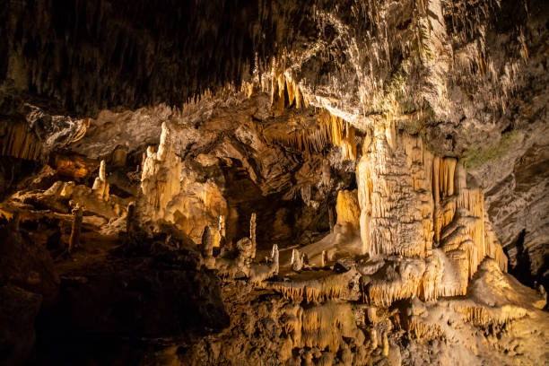 istock Postojna Cave, Croatia 1056349104