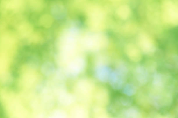 Fresh green background Fresh green background lush foliage stock pictures, royalty-free photos & images