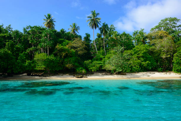 Tropical island in Madang, Papua New Guinea View of the clear water and tropical coastline of Pig Island, a small and uninhabited island off the coast of Madang, Papua New Guinea Papua New Guinea stock pictures, royalty-free photos & images