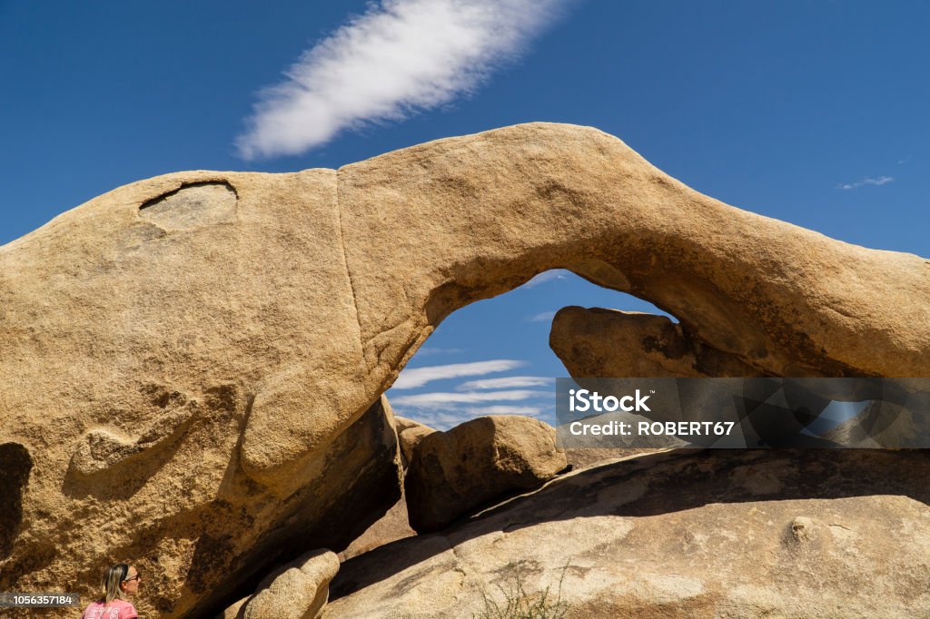 The Joshua tree national park Agave Plant Stock Photo