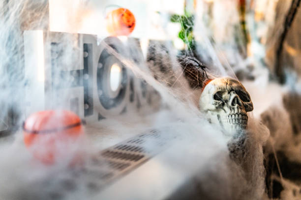 Close-up shot of Halloween composition with pumpkins, skulls,cobweb, spiders