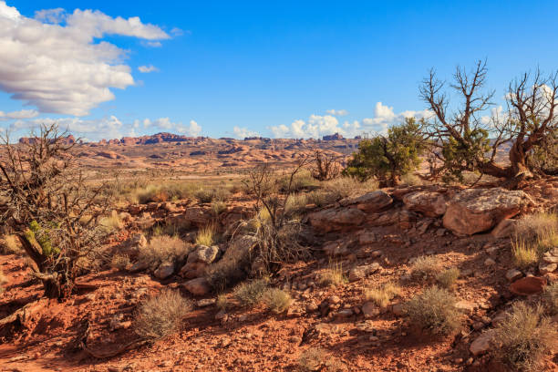 istock Scenic Arches National Prak Utah Landscape 1056360148