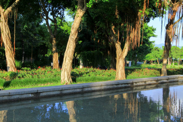istock a Tai Po Waterfront Park in Hong Kong 1056363100