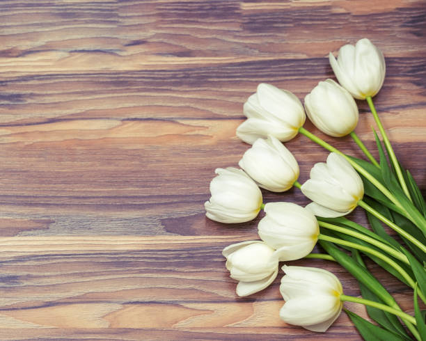 istock Spring flowers white tulips on wooden background.  Flat lay. Free place for text. Copyspace. Greeting card. 1056364364