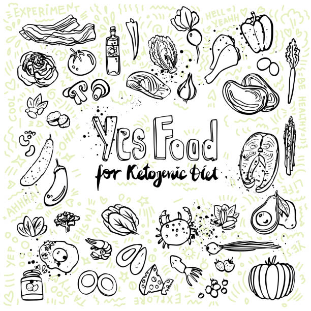 Ketogenic vector sketch illustration. Healthy keto food with texture and decorative elements - fats, proteins and carbs on one vector illustration. Low carbs ketogenic diet food isolated on white background. Cartoon sketch keto food, icon set Ketogenic vector sketch illustration. Healthy keto food with texture and decorative elements - fats, proteins and carbs on one vector illustration. Low carbs ketogenic diet food isolated on white background. Cartoon sketch keto food, icon set with decor low body fat stock illustrations