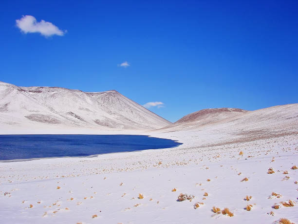 viste panoramiche intorno al lago miscanti e alla laguna di miniques in cile - panoramic nature atacama region south america foto e immagini stock