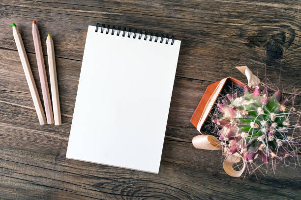 istock White empty notepad, notebook, wooden colored pencils and green cactus in brown pot with bow on wooden table on gray fabric background. Hipster eco natural mockup with copy space. Top view, flat lay 1056373650