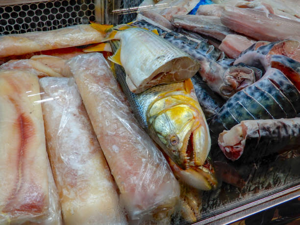 istock Fish showcase, Mercado Central in Belo Horizonte, Minas Gerais 1056379028