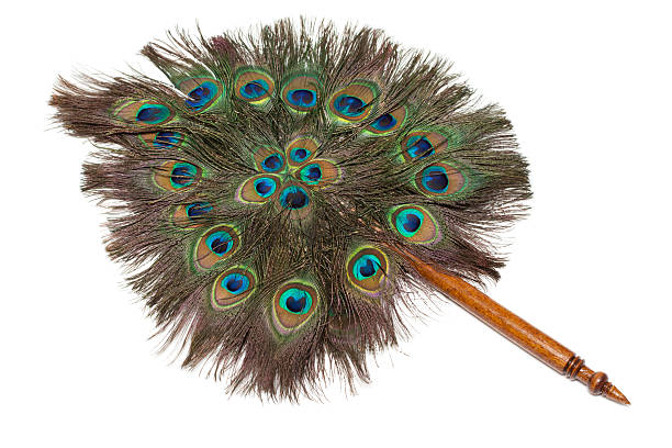 istock Veer from feather of the peacock 105638070
