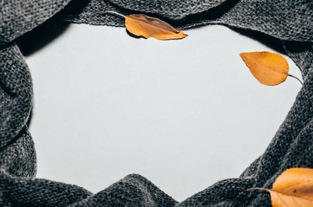 istock White background, around which a gray scarf and yellow leaves. 1056387444