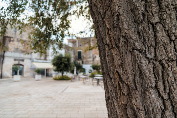 piazzetta a ceglie messapica, salento, italia - messapica foto e immagini stock